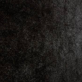 Feral Light : Feral Light